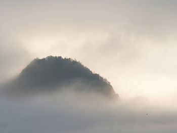 Low angle view of silhouette tree against sky