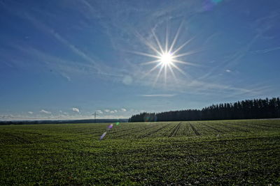 Scenic view of field against bright sun