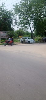 Cars on road against trees in city