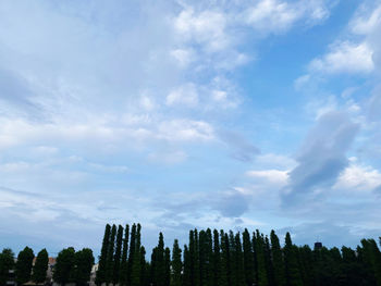 Low angle view of trees against cloudy sky