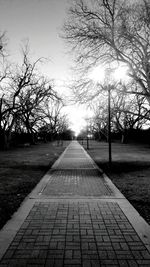 Footpath leading towards bare trees