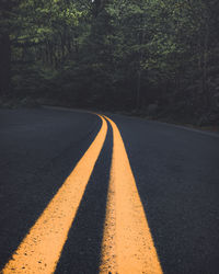 Surface level of empty road in forest