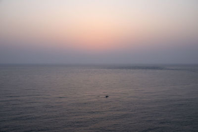 Swan swimming in sea against clear sky