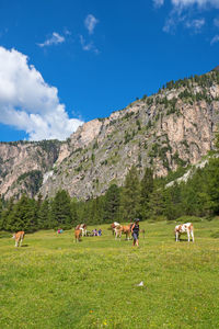 Group of people on field against mountain range