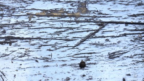 High angle view of snow on field during winter