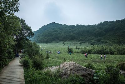 People on grassy landscape