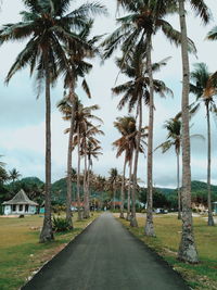 Road amidst palm trees against sky