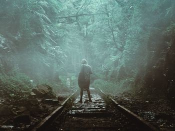 Rear view of man standing on railroad track in forest