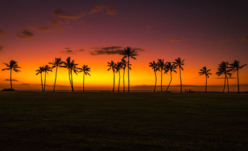 Silhouette palm trees against sky during sunset