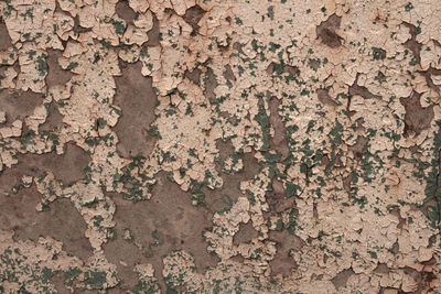 Full frame shot of weathered wall