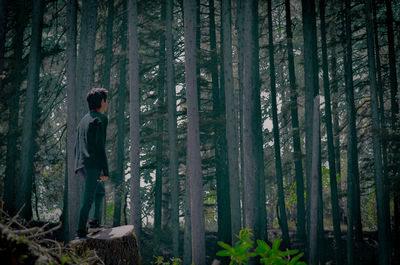 Side view of woman standing amidst trees in forest