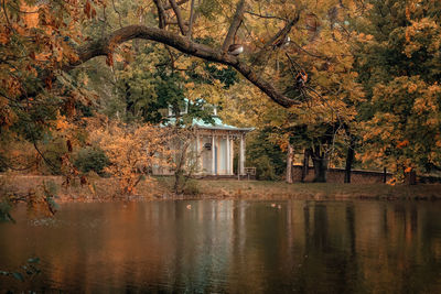 Trees by building during autumn