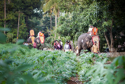 Group of people against trees in forest