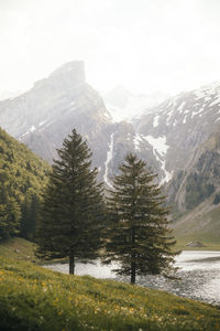 Scenic view of lake in front of snow covered mountains against sky