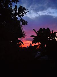 Low angle view of silhouette trees against sky at sunset