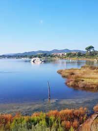 Scenic view of lake against clear blue sky