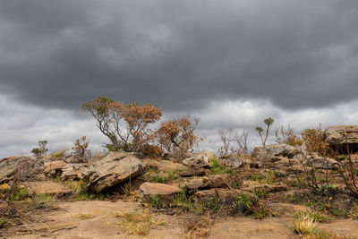 Rock formations on field against sky