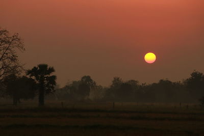 Scenic view of field against orange sky