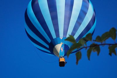 Low angle view of hot air balloon against blue sky