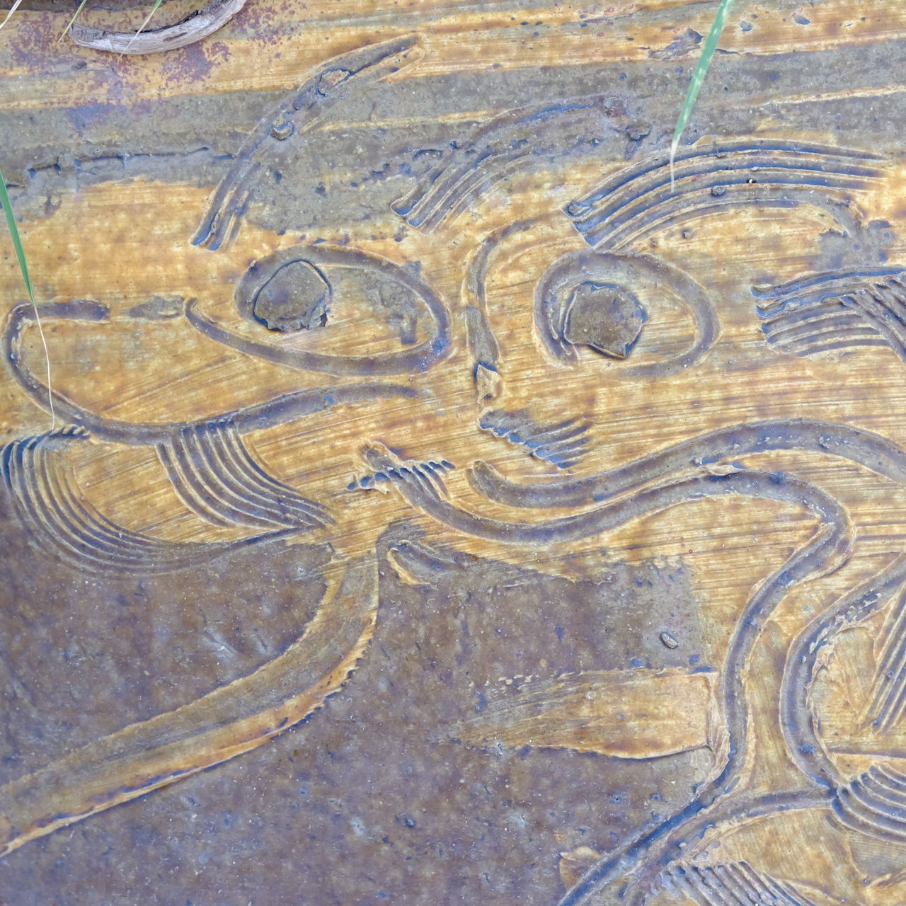 HIGH ANGLE VIEW OF A TURTLE IN THE WATER