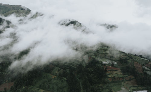 High angle view of trees on mountain against sky