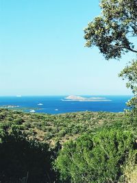 Scenic view of sea against clear blue sky