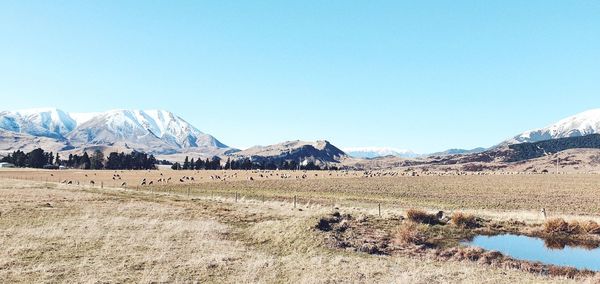 Scenic view of snowcapped mountains against clear blue sky