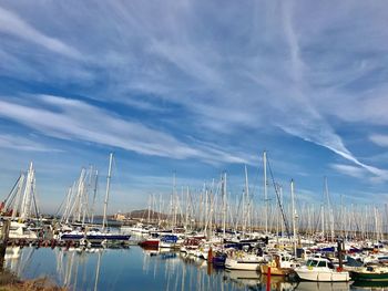 Sailboats moored at harbor against sky