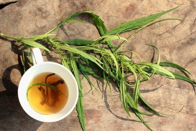 Directly above shot of herbal tea served with herb on table