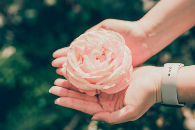 Close-up of hand holding flower against blurred background