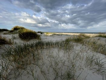 Scenic view of beach against sky