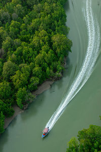 Aerial view of boat sailing in river amidst trees at forest