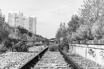 Railroad tracks amidst trees against sky