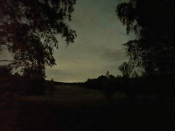 Silhouette trees on field against sky at sunset