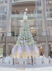 Illuminated christmas tree in city during winter