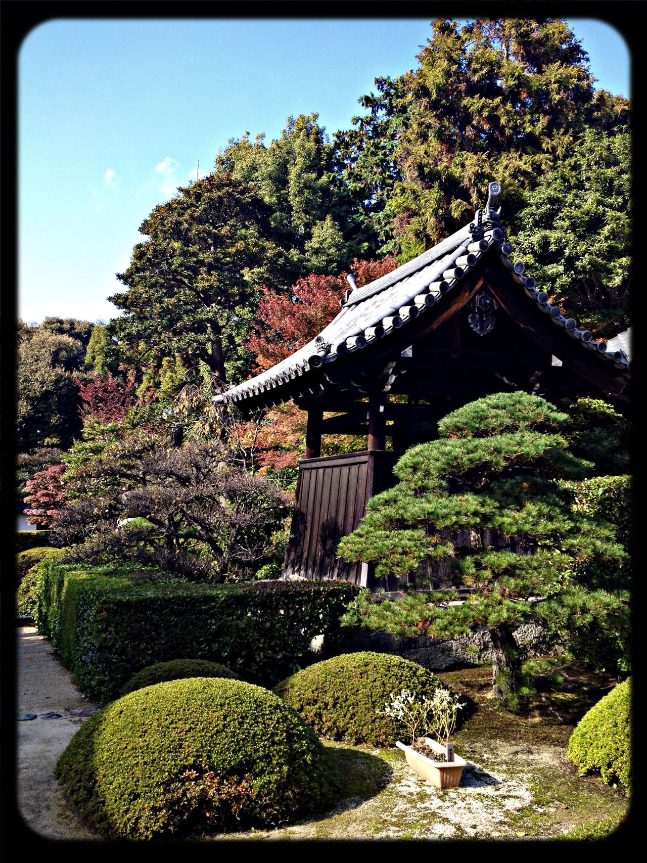 雲龍院