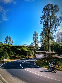 Road by trees against blue sky