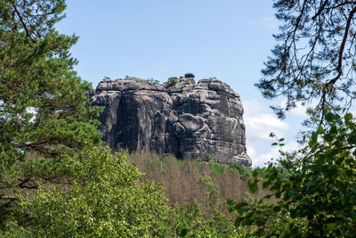 Low angle view of rock formation amidst trees against sky