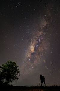 Low angle view of silhouette tree against sky at night