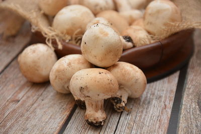 Close-up of mushrooms on table