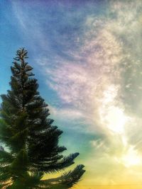 Low angle view of trees against cloudy sky