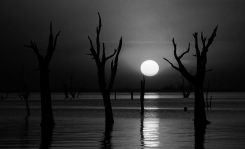 Silhouette bare trees by lake against sky during sunset