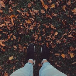 Low section of person standing on dry leaves during autumn