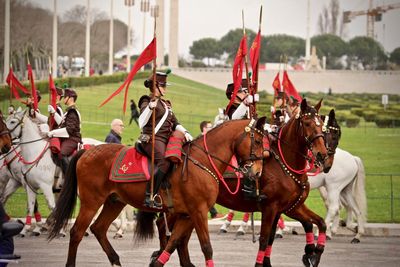 Horses outdoors