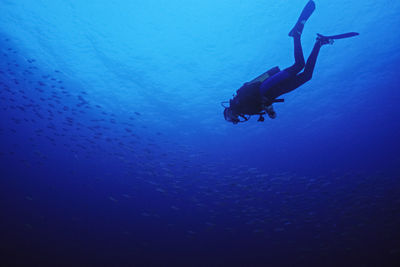 A diver descends towards a school of fish.