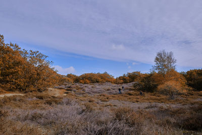 Trees on field against sky during autumn