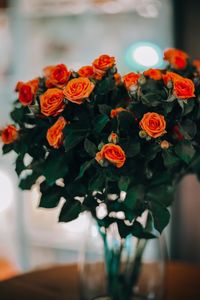 Close-up of red flowers in vase
