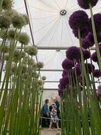 Low angle view of people on plants against sky