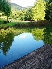 Reflection of trees in lake