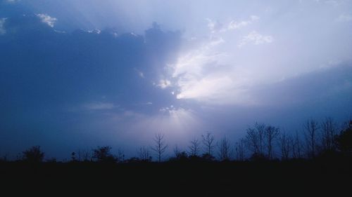Low angle view of silhouette trees against sky